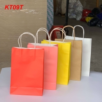 TÚI GIẤY KT09T
